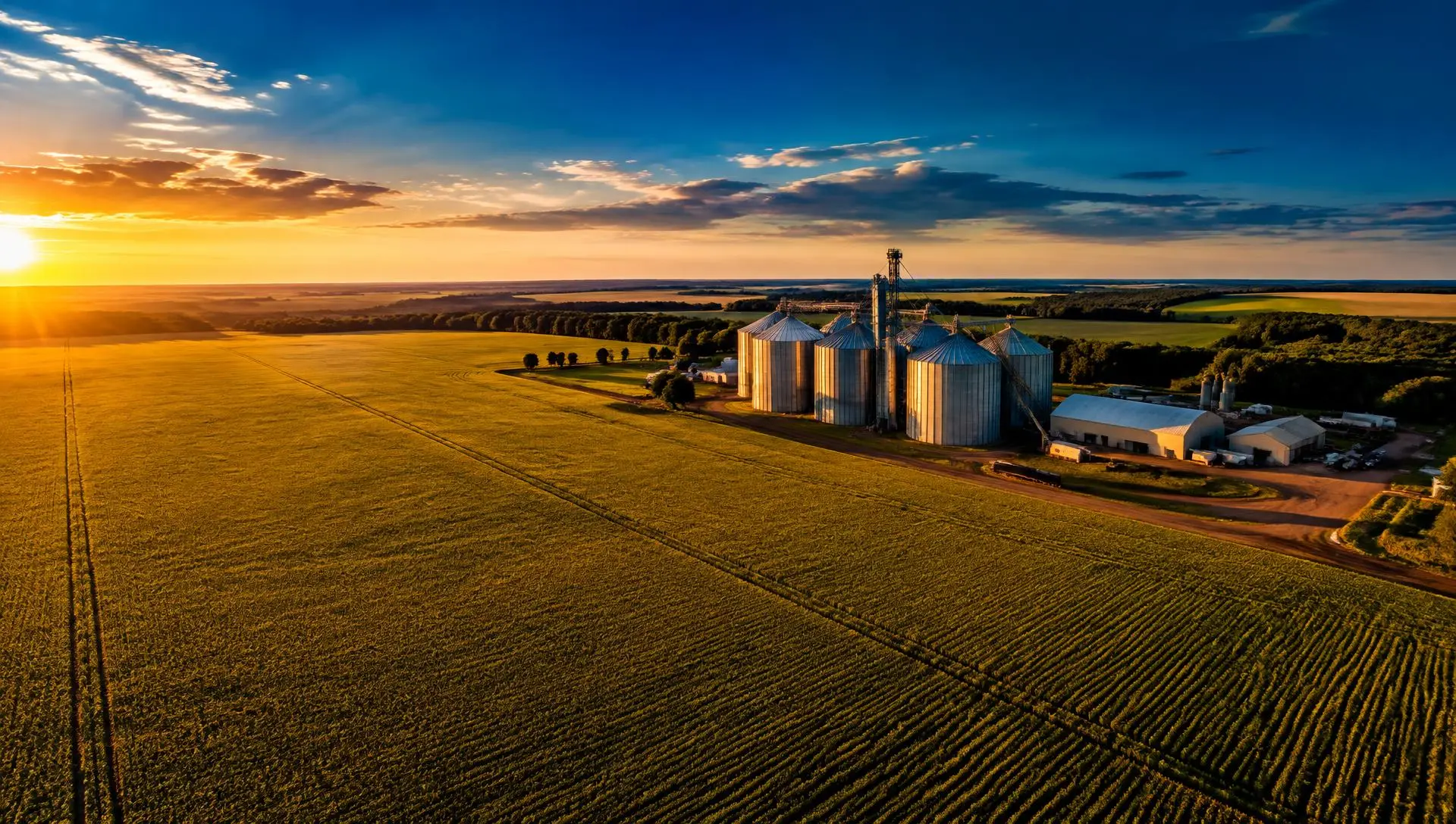 Lavoura de soja e silos de armazenagem ao pôr do sol